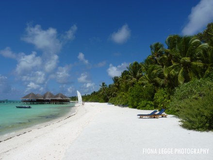 maldives_beach